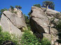 Rezerwat przyrody Przadki im. prof. Henryka Świdińskiego